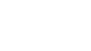 Clean Shester ®