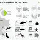 Política Nacional de Cambio Climatico – PNCC – Ministerio de Ambiente y Desarrollo Sostenible en Colombia